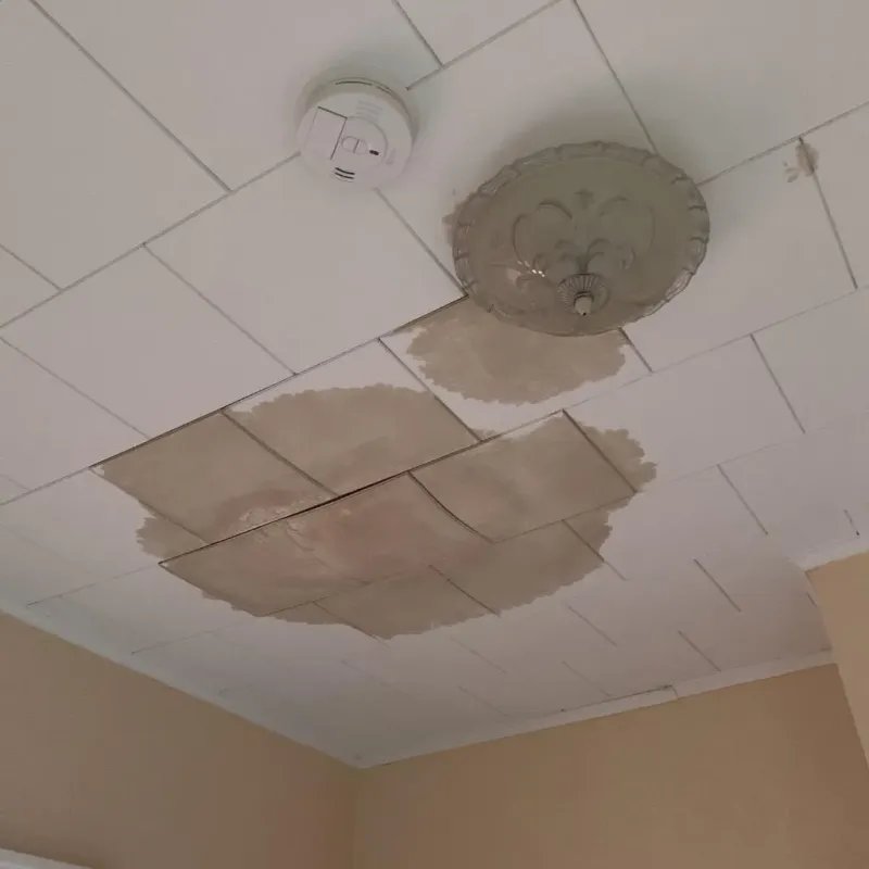 Ceiling Water Damage Repair in Holdenville, OK