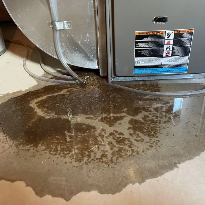 Pipe Burst and Leak Restoration in Holdenville, OK